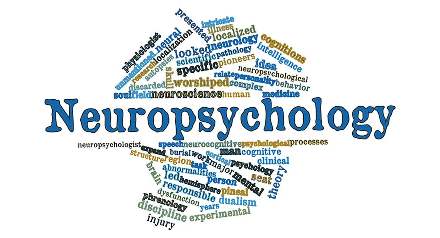 Differences Between Neuropsychology and Clinical Psychology
